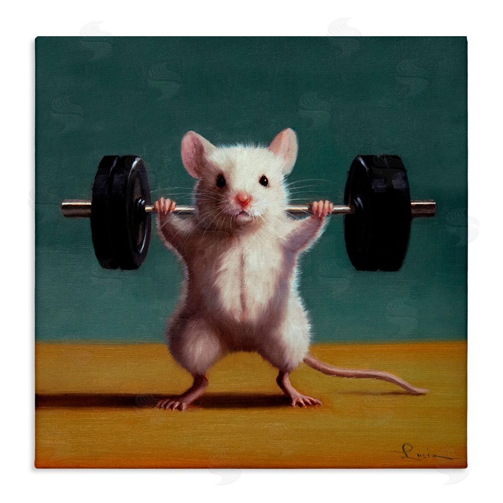 Lucia Heffernan Weight Lifting Mouse Stretched Canvas Wall Art Print