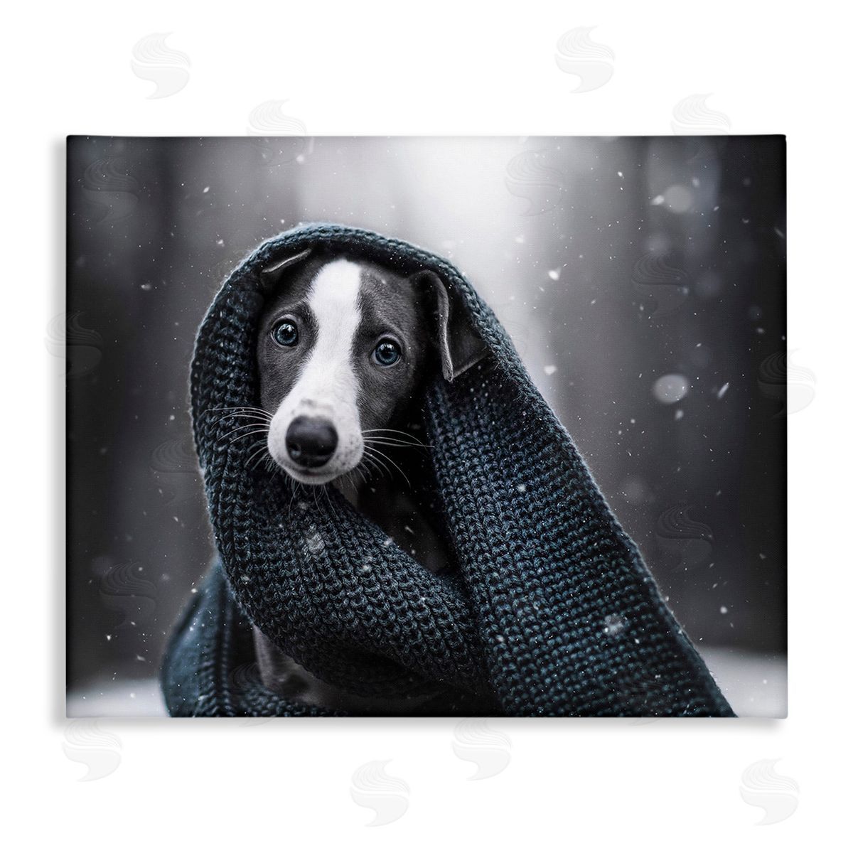Natalie Grosse Dog with Winter Scarf