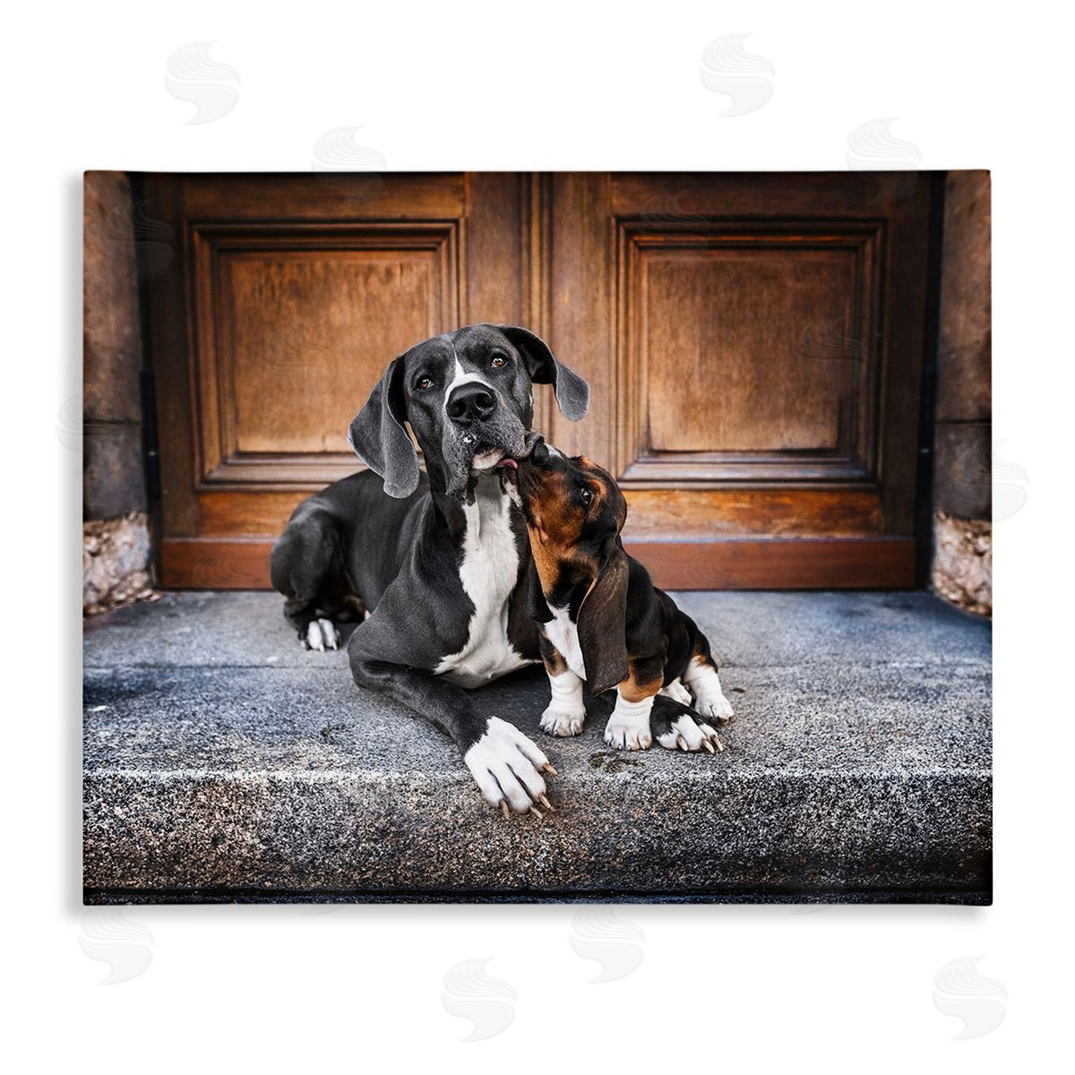 Natalie Grosse Dogs on Doorstep