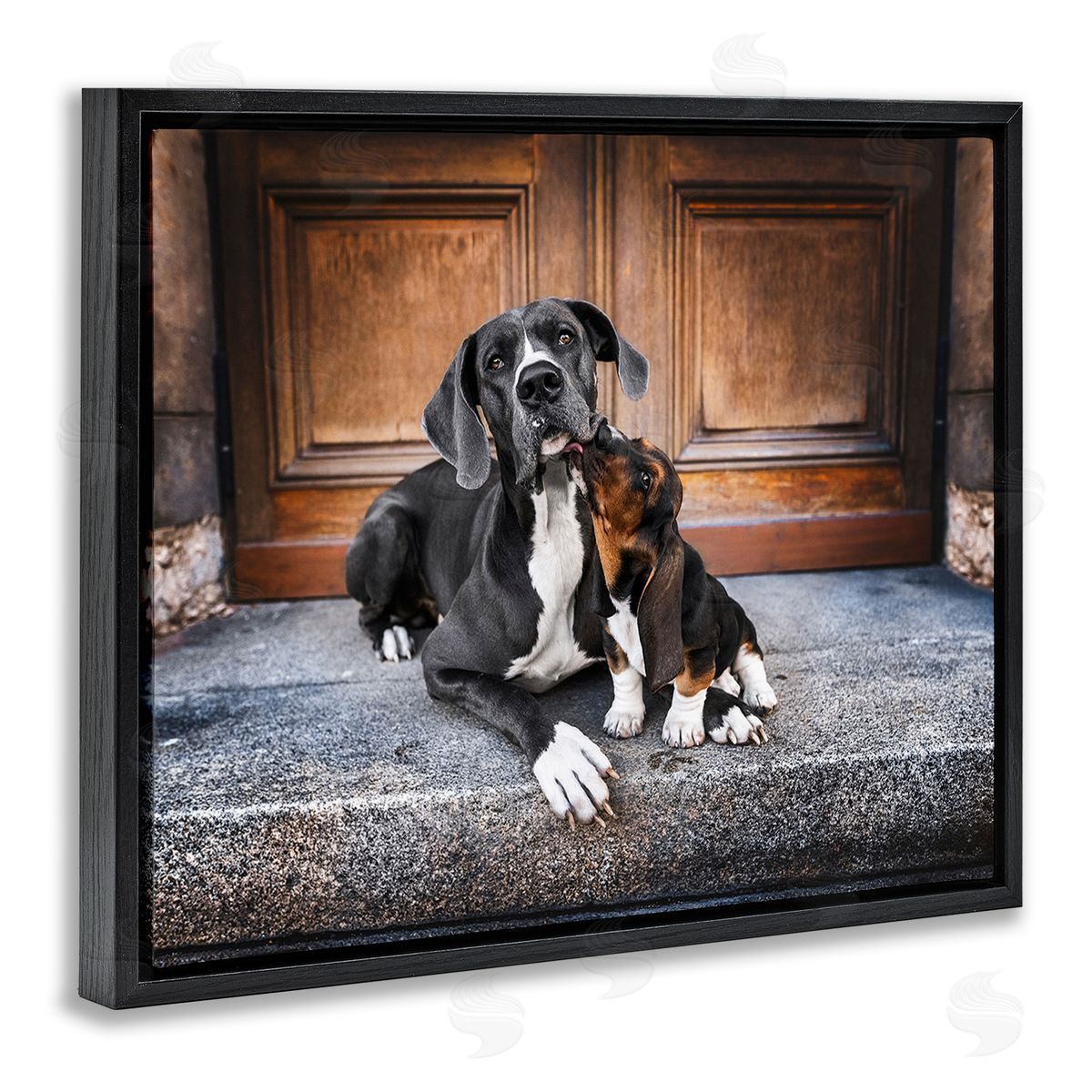 Natalie Grosse Dogs on Doorstep
