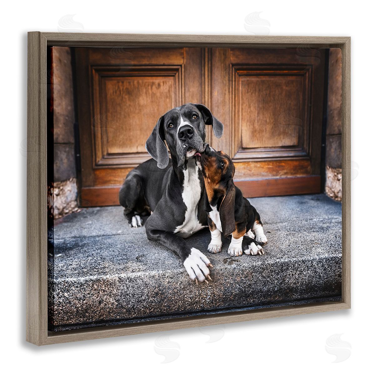 Natalie Grosse Dogs on Doorstep