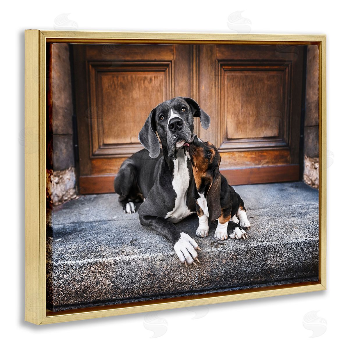 Natalie Grosse Dogs on Doorstep