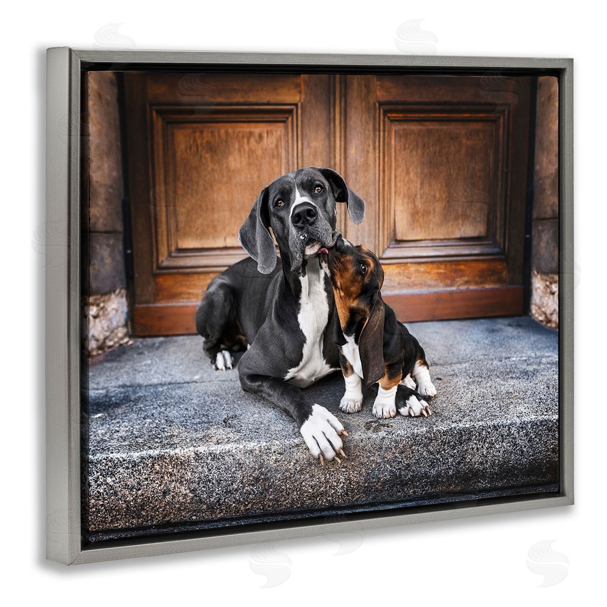 Natalie Grosse Dogs on Doorstep