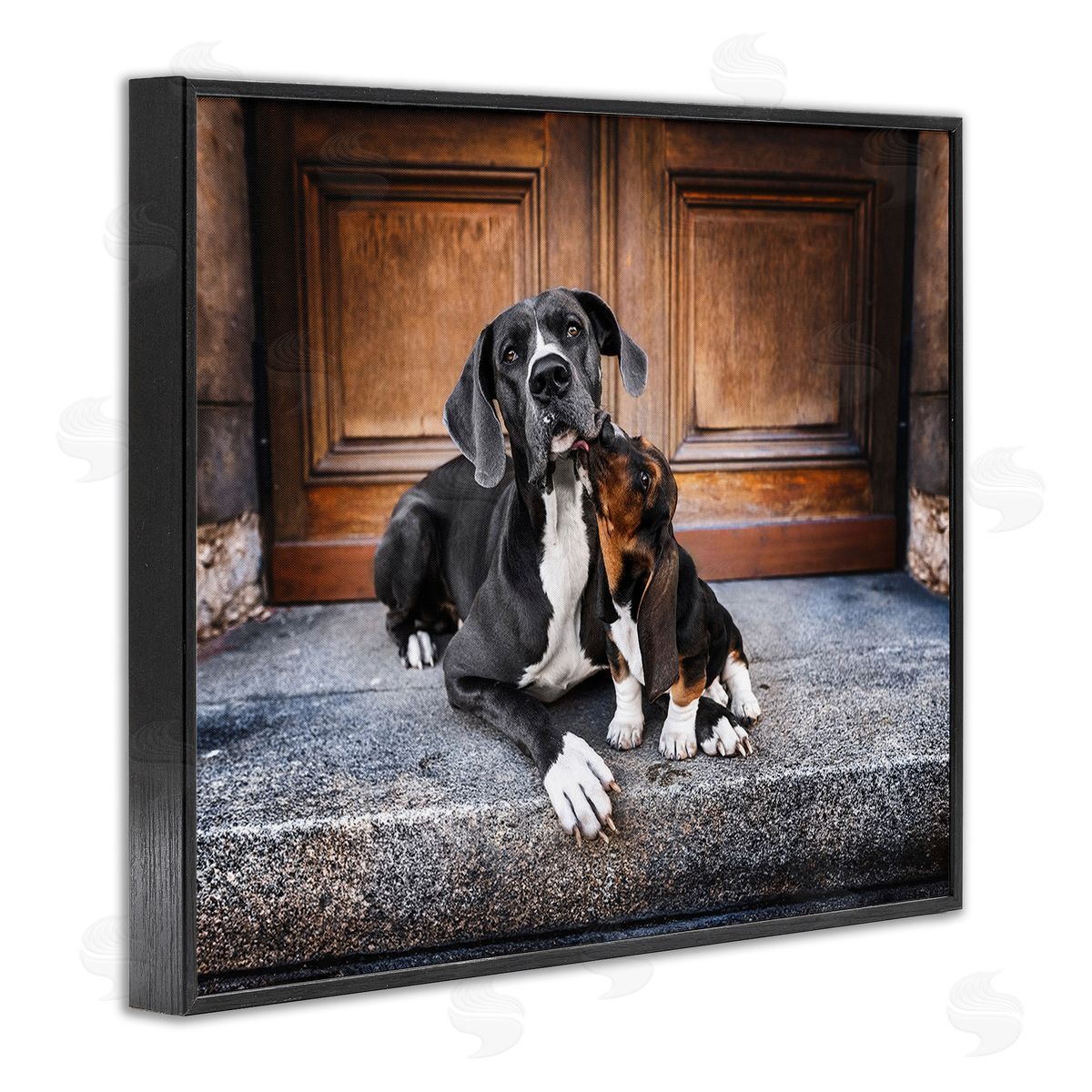 Natalie Grosse Dogs on Doorstep
