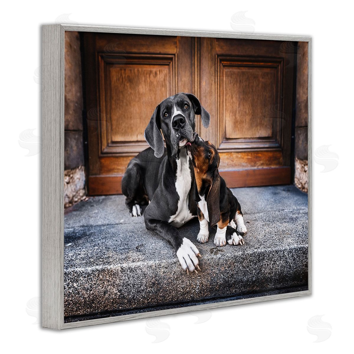 Natalie Grosse Dogs on Doorstep