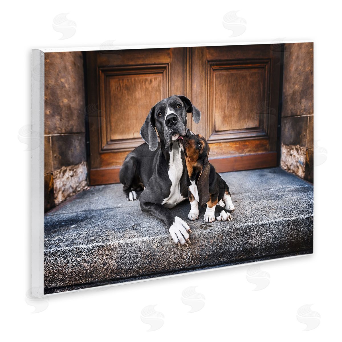 Natalie Grosse Dogs on Doorstep