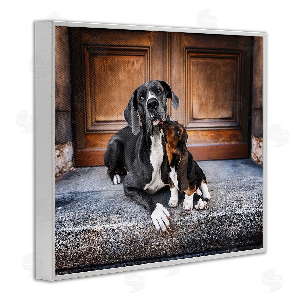 Natalie Grosse Dogs on Doorstep