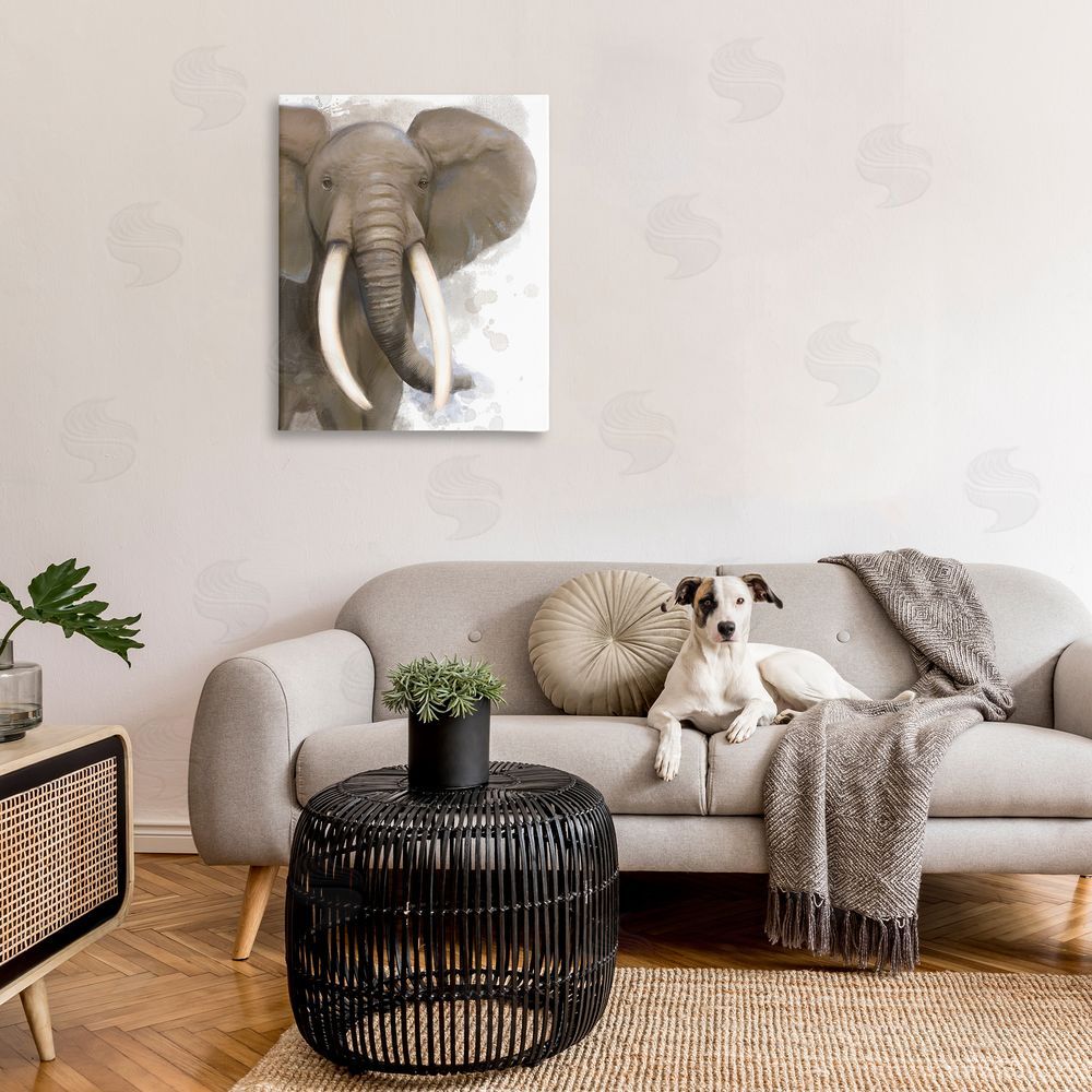 Matthew Piotrowicz Elephant & Modern Splash