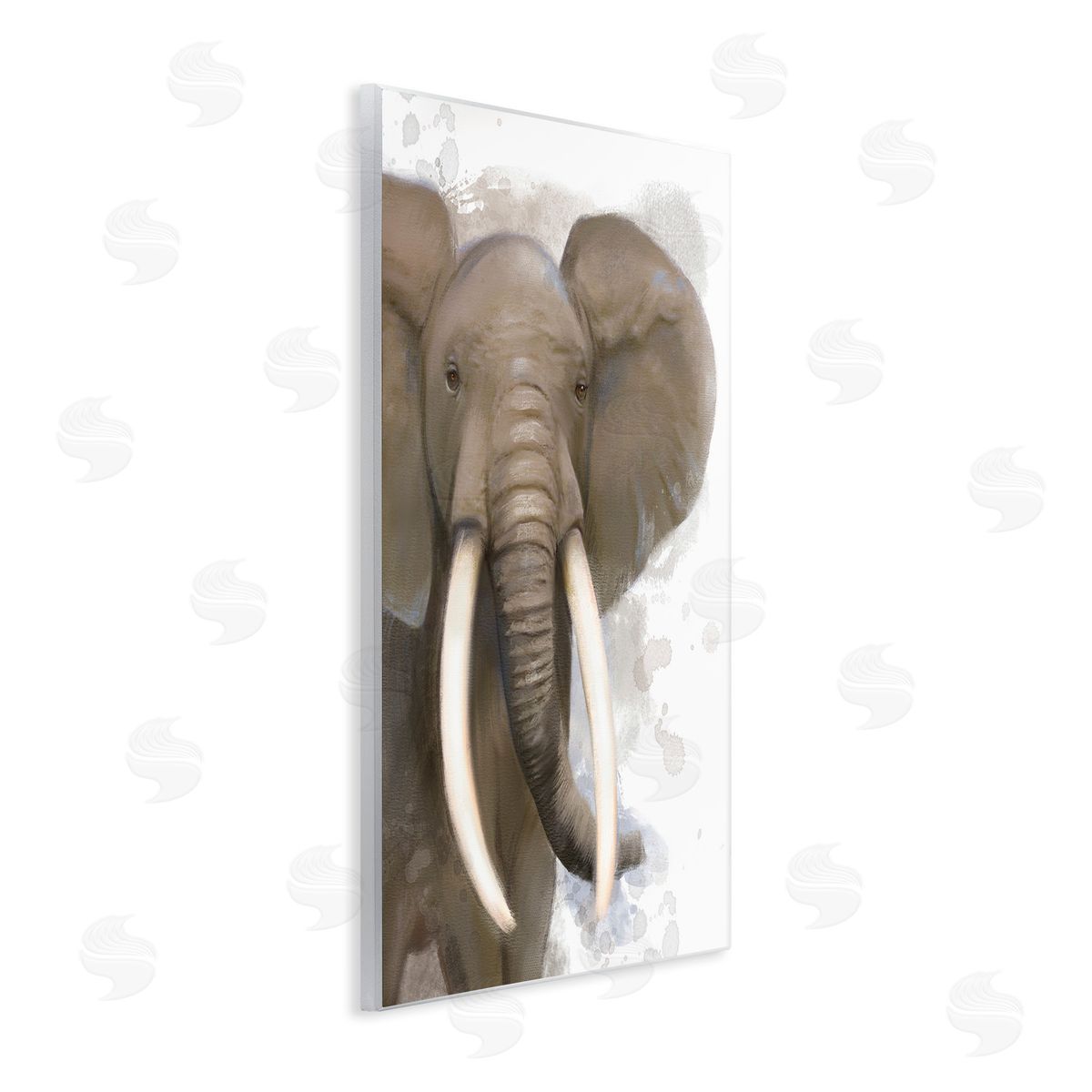 Matthew Piotrowicz Elephant & Modern Splash
