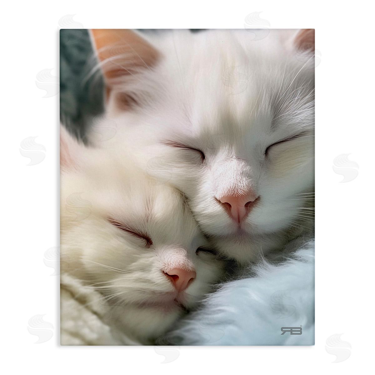 RB Cuddling White Cats