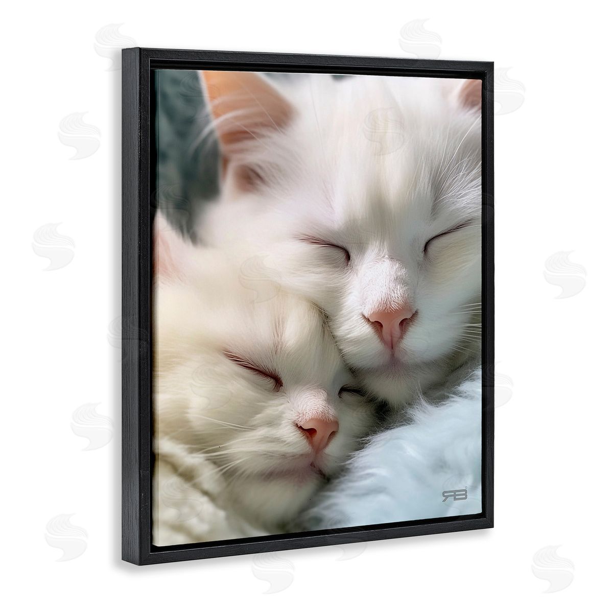 RB Cuddling White Cats