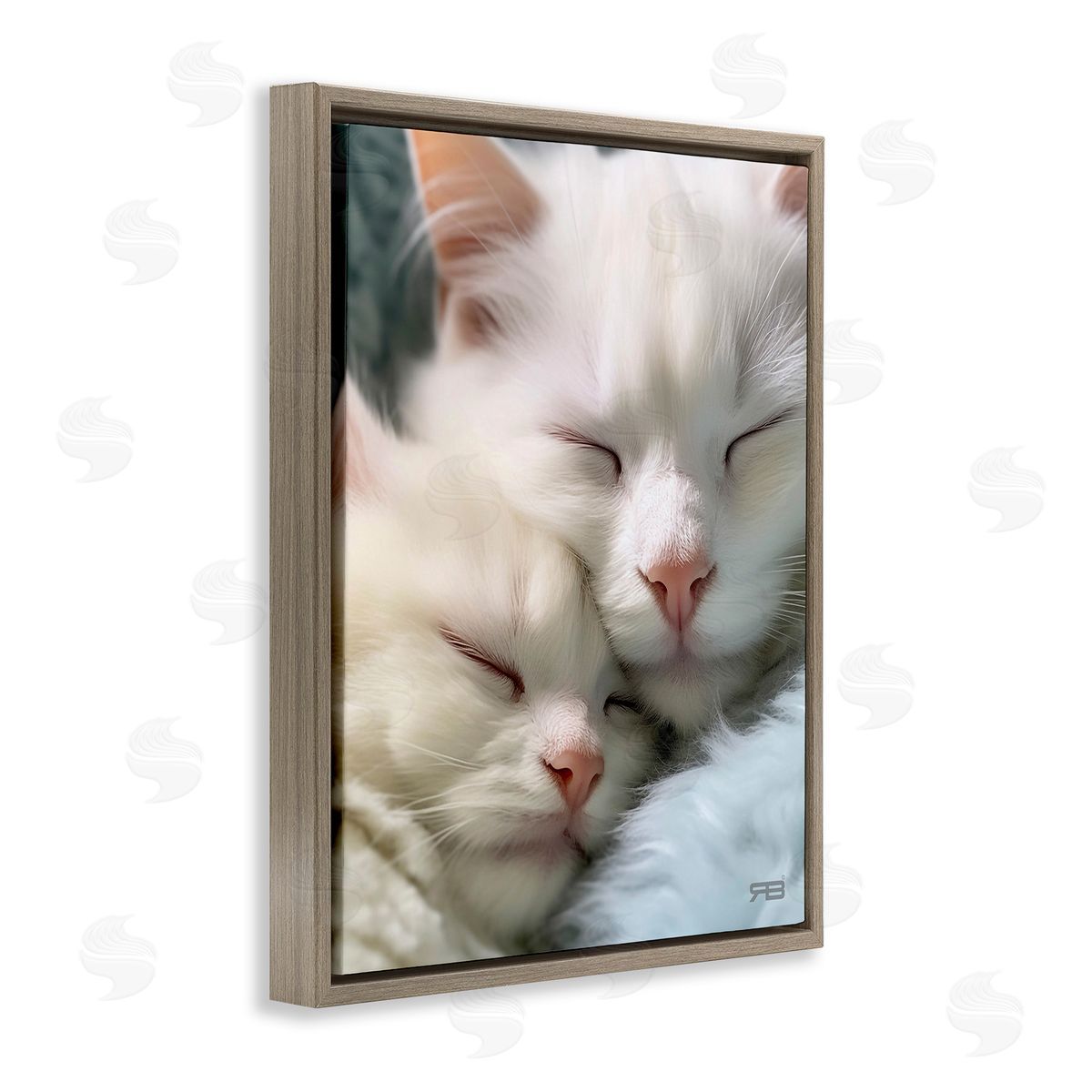 RB Cuddling White Cats
