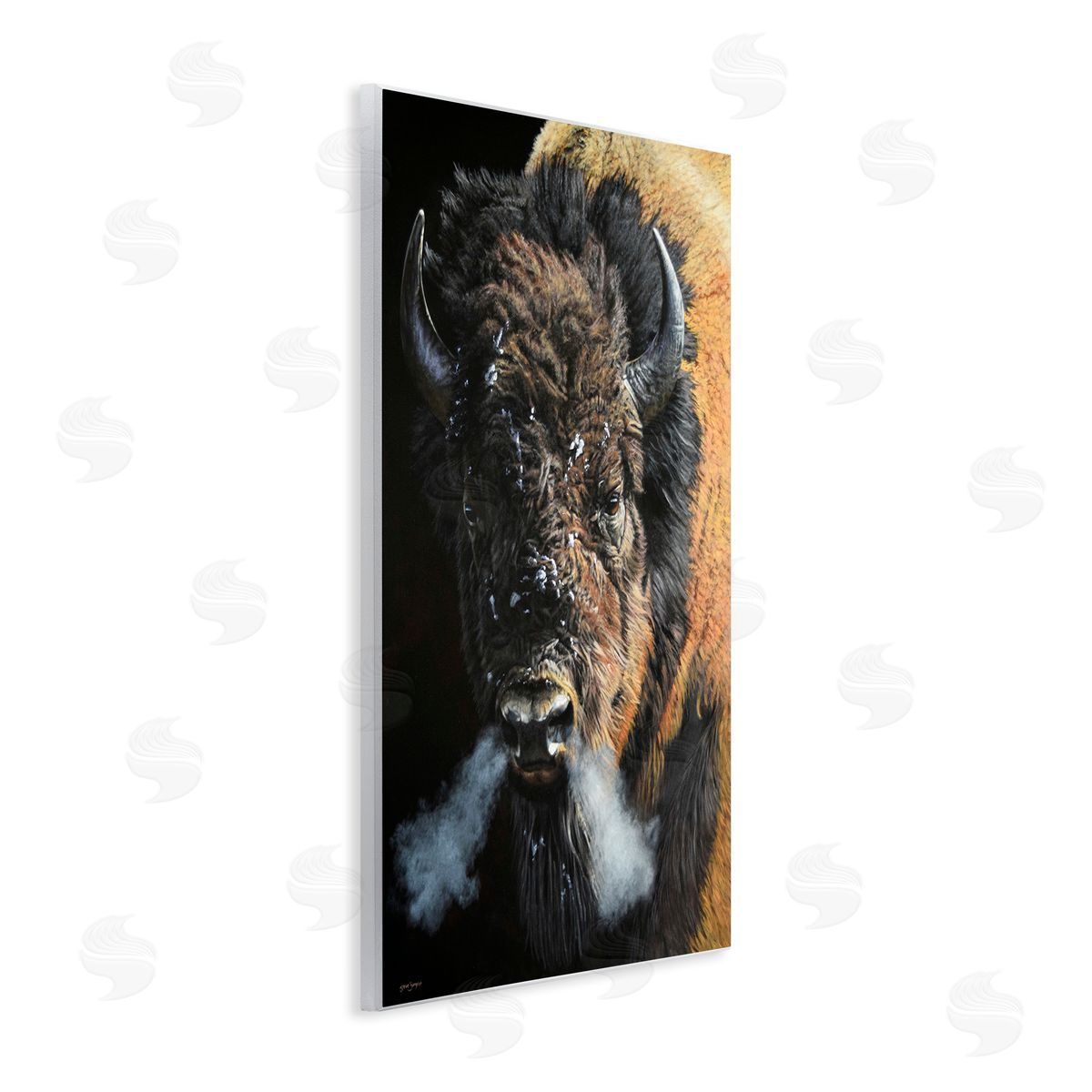 Steve Burgess Bison Breathing Steam