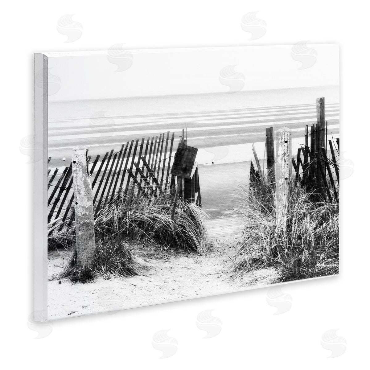 Graffitee Studios Fenced Beach Path