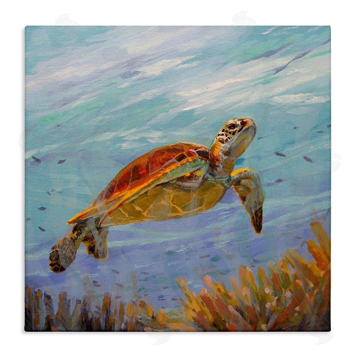Sandy Nelson Turtle Among Coral Reef Stretched Canvas Wall Art Print