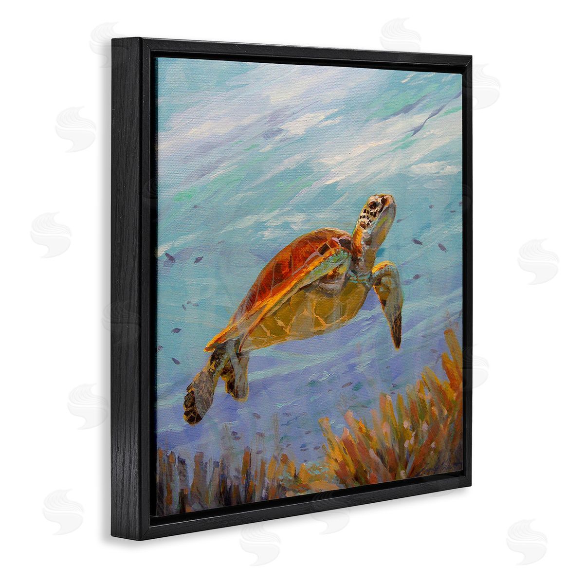 Sandy Nelson Turtle Among Coral Reef Black Floating Frame Canvas Wall Art Print