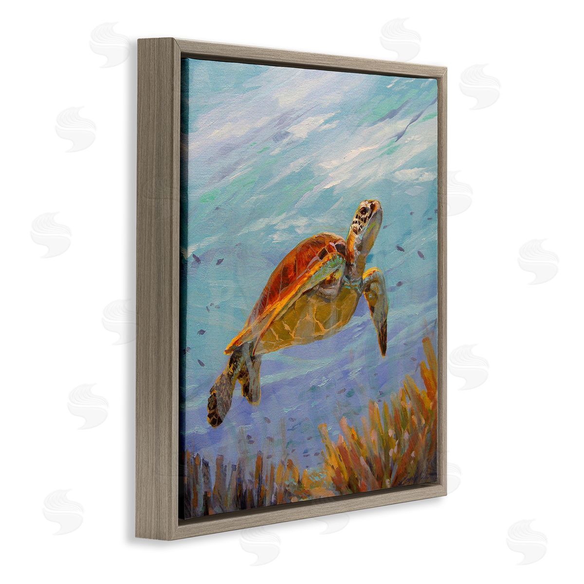 Sandy Nelson Turtle Among Coral Reef Brown Floating Frame Canvas Wall Art Print