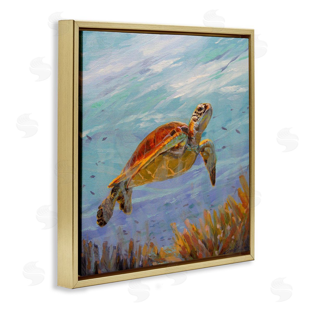 Sandy Nelson Turtle Among Coral Reef Gold Floating Frame Canvas Wall Art Print
