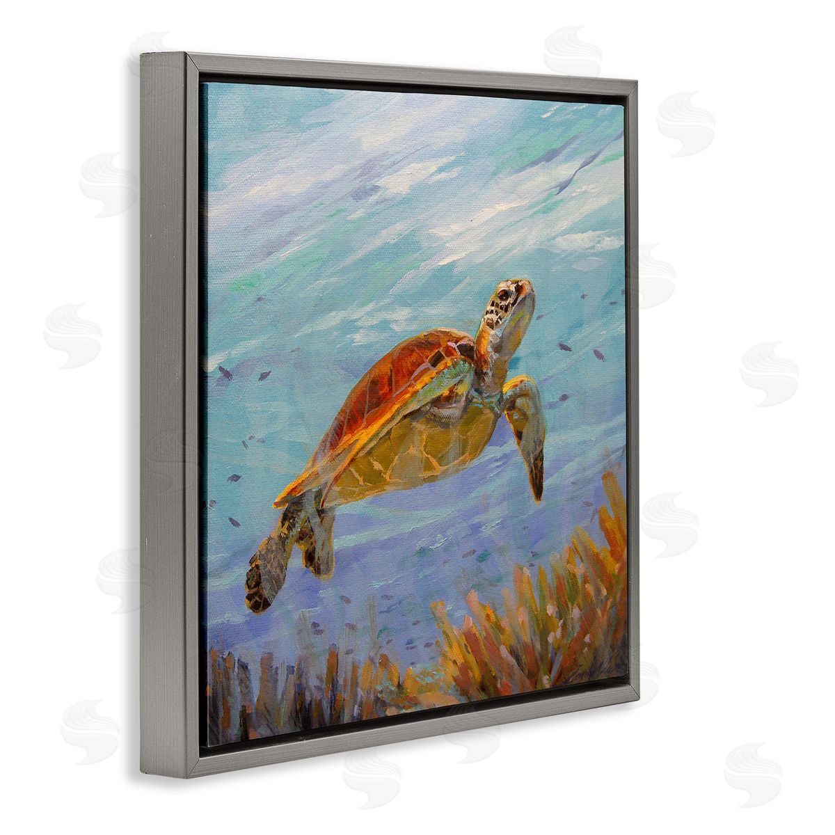 Sandy Nelson Turtle Among Coral Reef Gray Floating Frame Canvas Wall Art Print