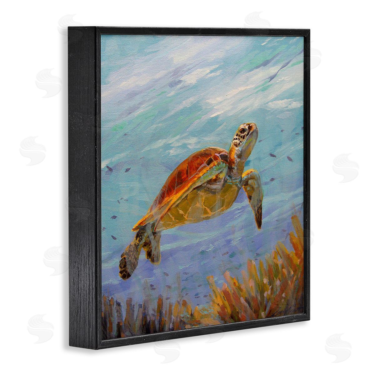Sandy Nelson Turtle Among Coral Reef Black Framed Glicee Wall Art Print