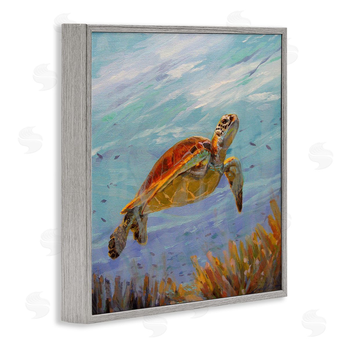 Sandy Nelson Turtle Among Coral Reef Gray Framed Glicee Wall Art Print