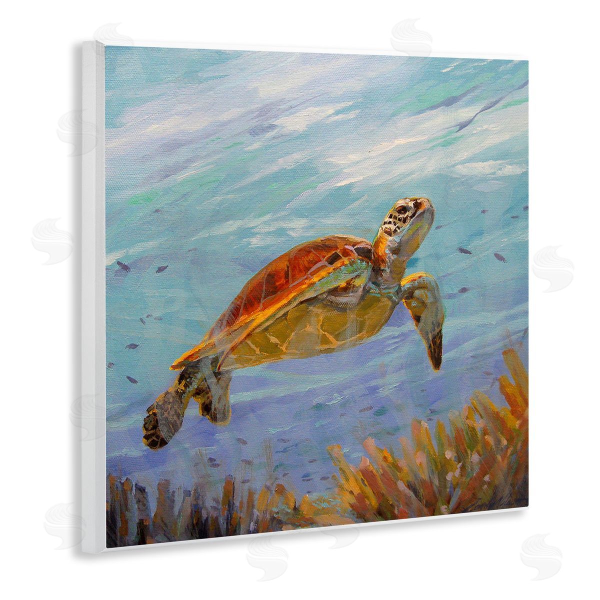 Sandy Nelson Turtle Among Coral Reef Wooden Wall Plaque Art Print