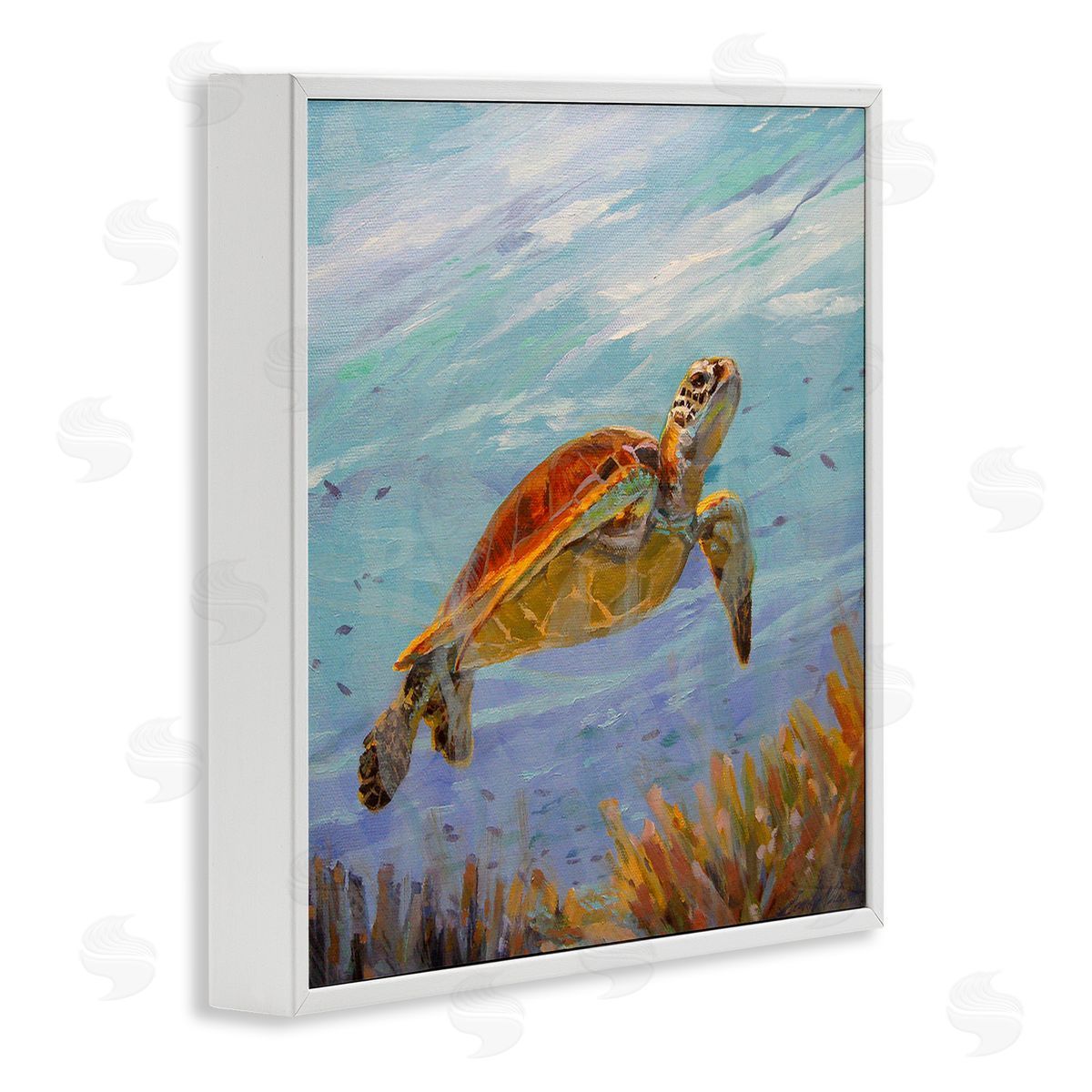 Sandy Nelson Turtle Among Coral Reef White Framed Glicee Wall Art Print