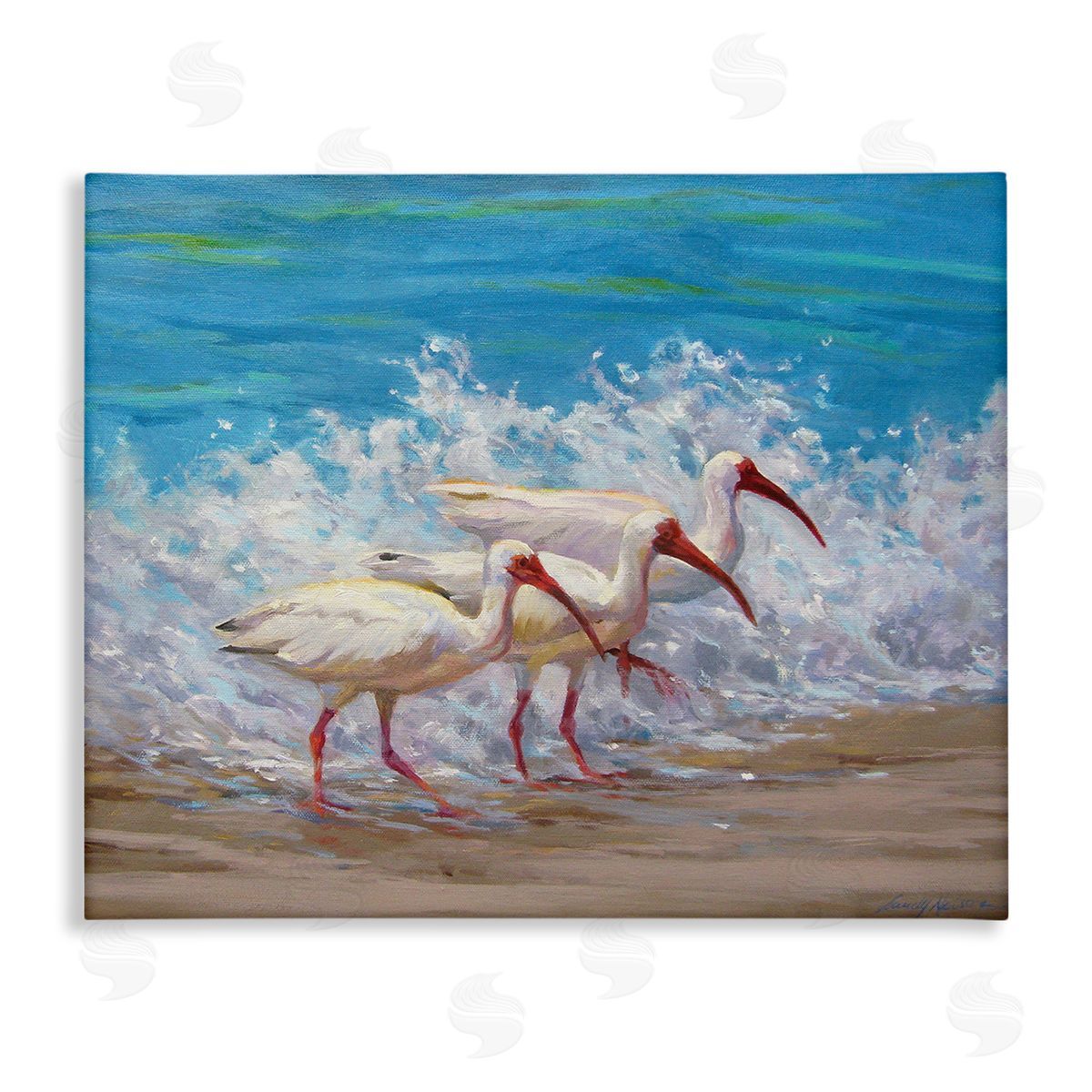 Sandy Nelson Splashing Sea Birds