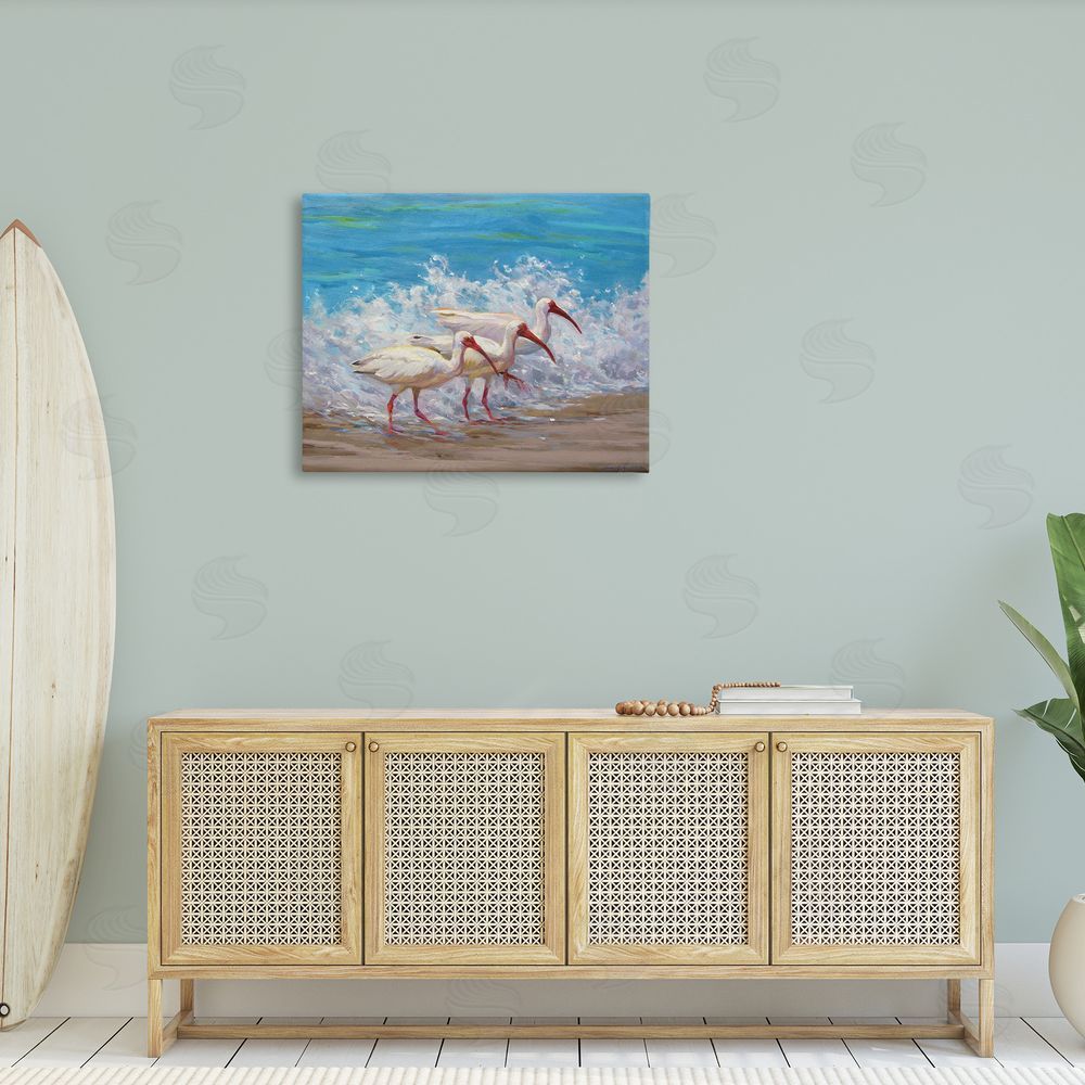 Sandy Nelson Splashing Sea Birds