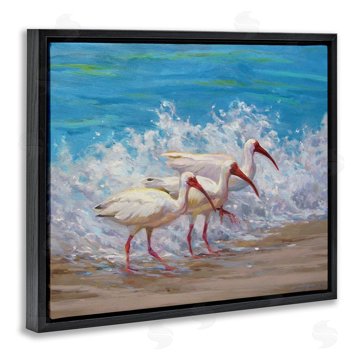 Sandy Nelson Splashing Sea Birds