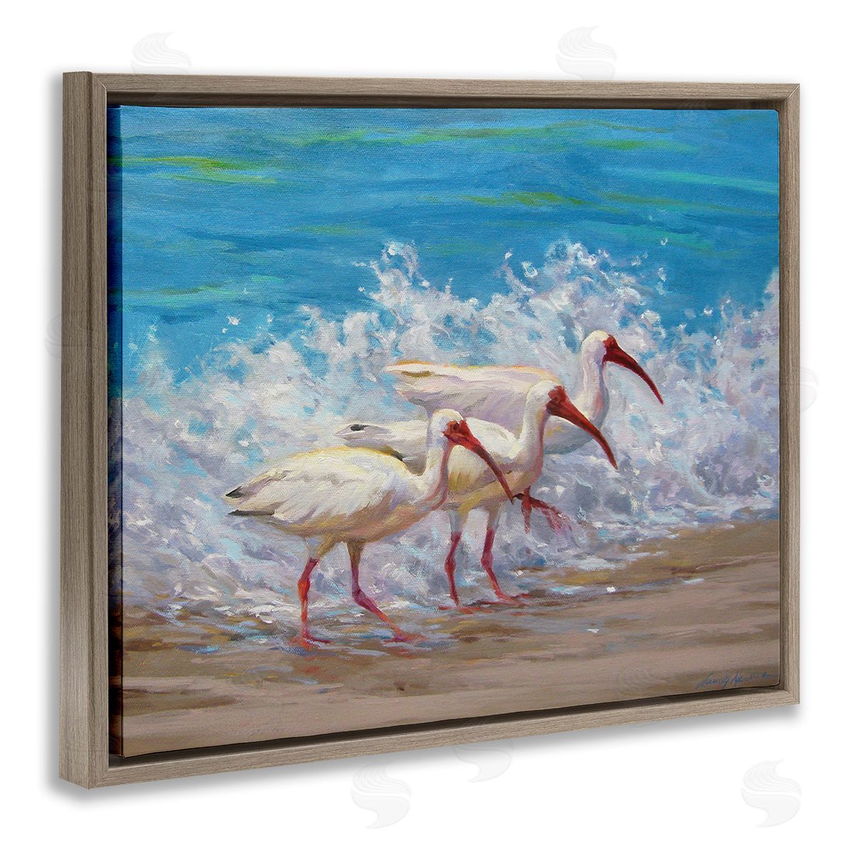 Sandy Nelson Splashing Sea Birds