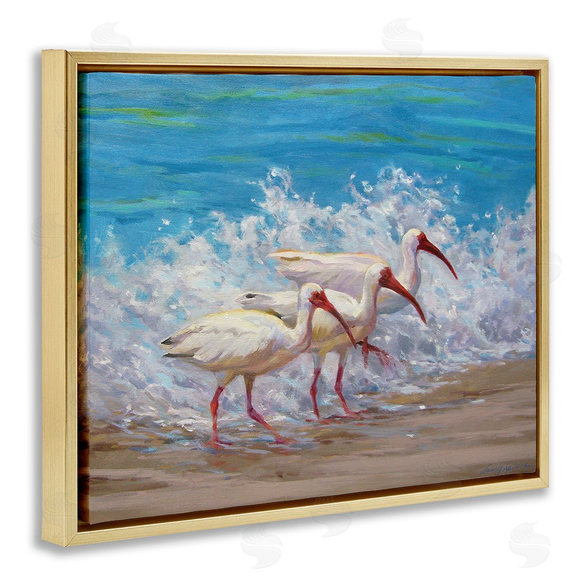 Sandy Nelson Splashing Sea Birds