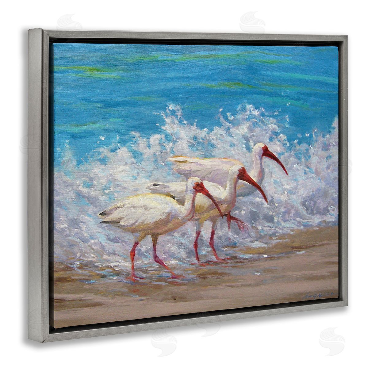 Sandy Nelson Splashing Sea Birds