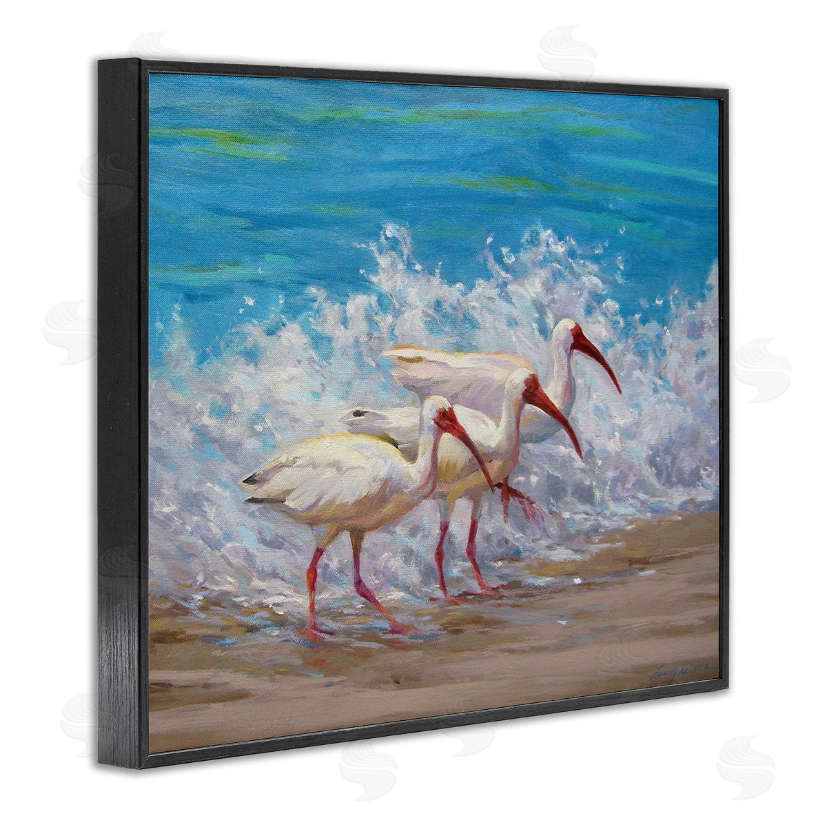 Sandy Nelson Splashing Sea Birds