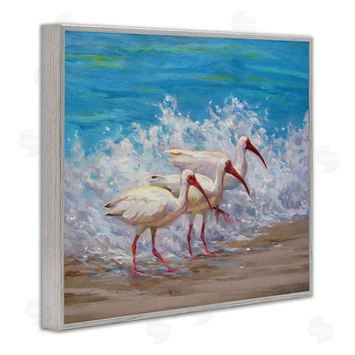 Sandy Nelson Splashing Sea Birds