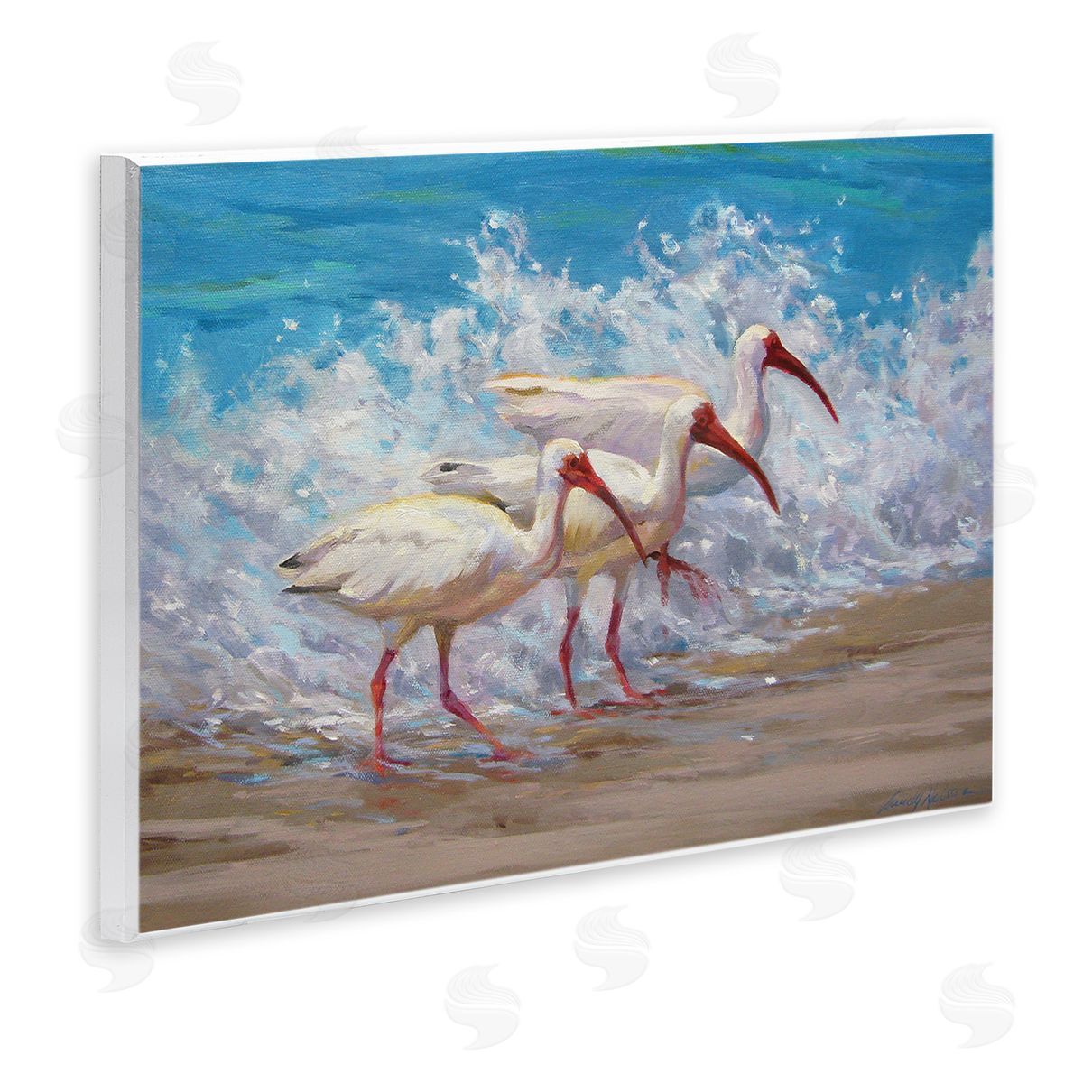 Sandy Nelson Splashing Sea Birds