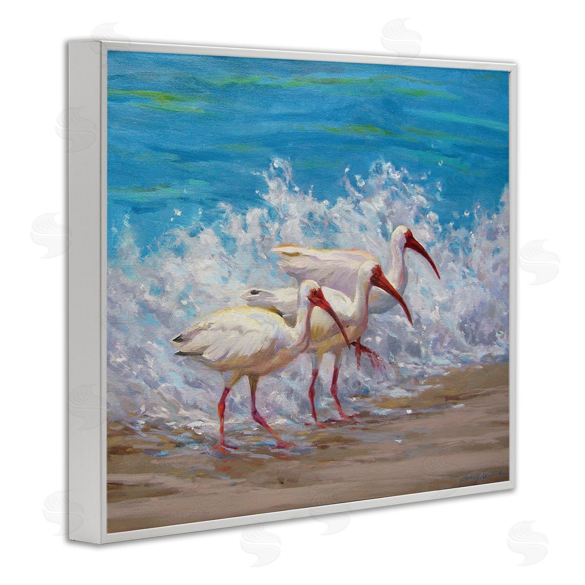 Sandy Nelson Splashing Sea Birds