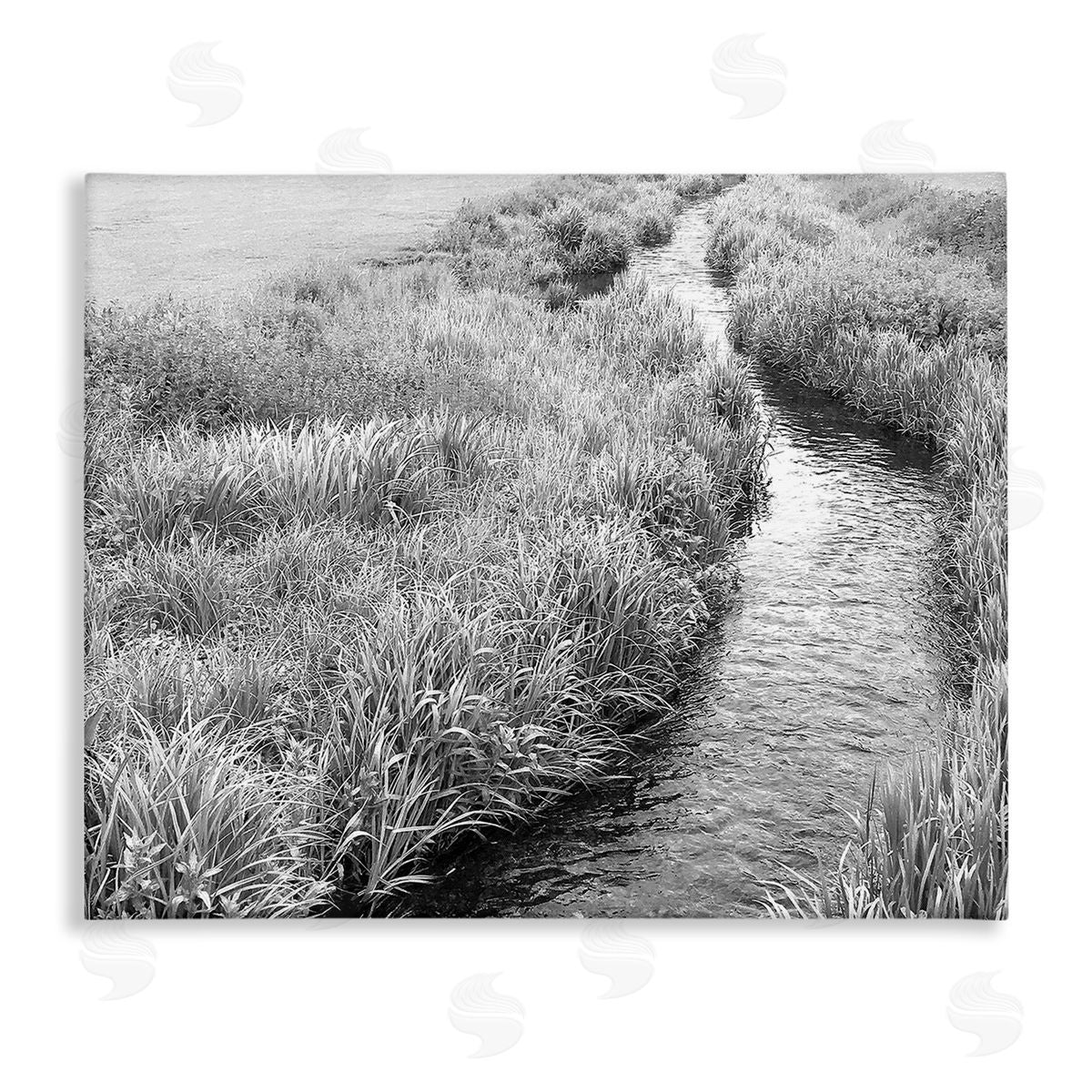 Sarah Jane Flowing Beach Canal