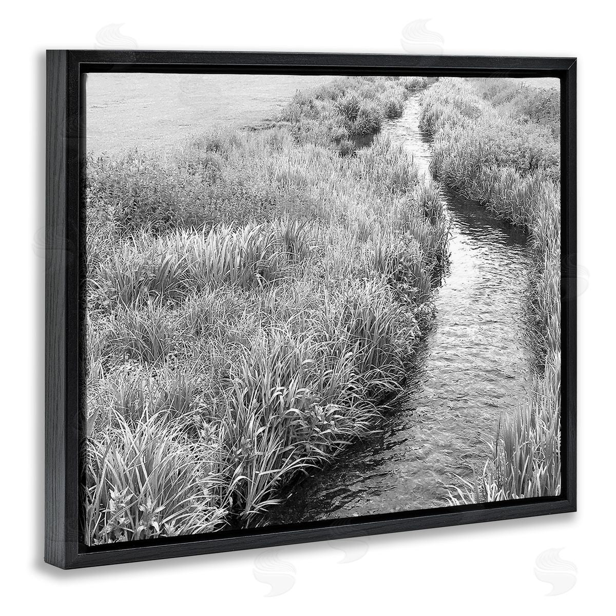 Sarah Jane Flowing Beach Canal