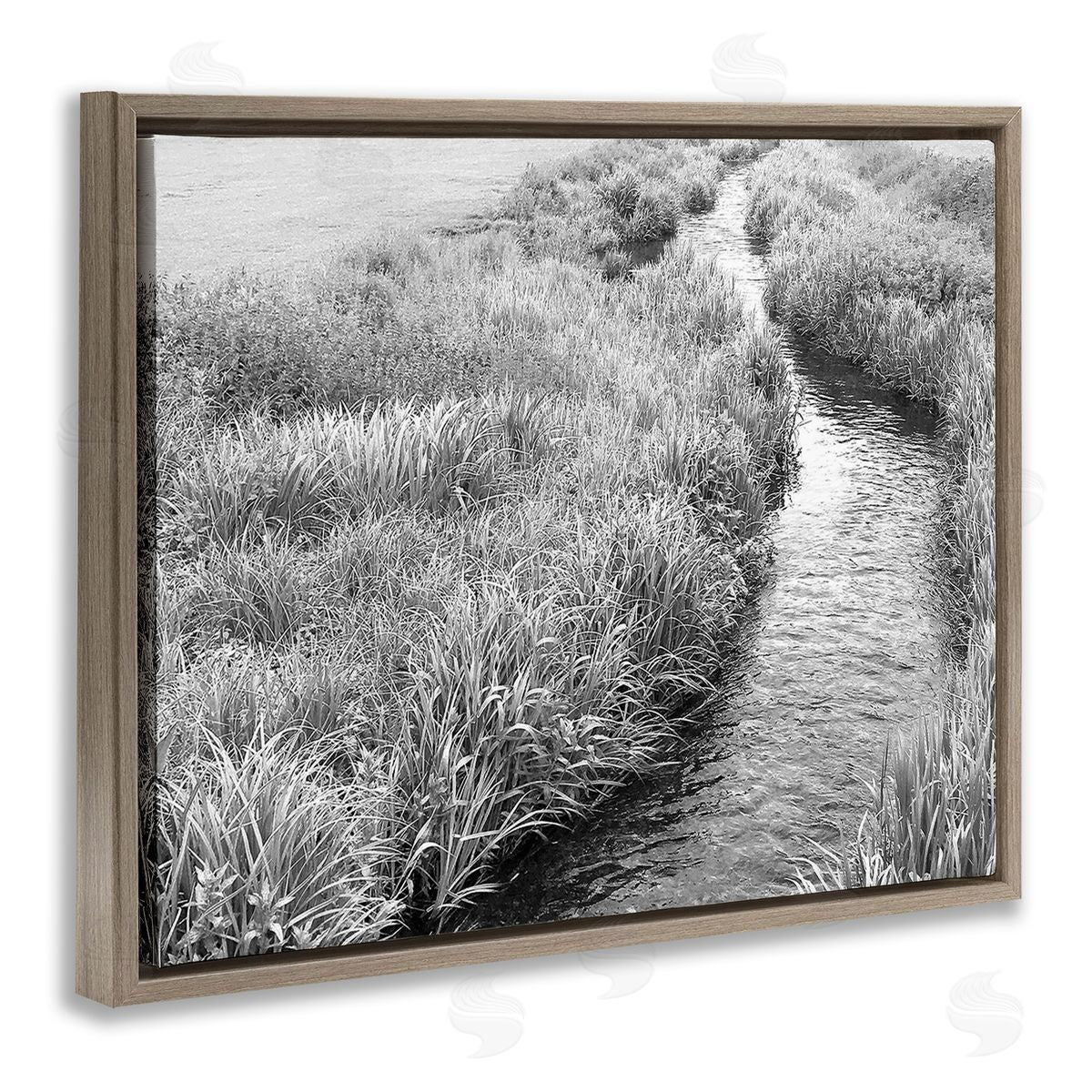 Sarah Jane Flowing Beach Canal