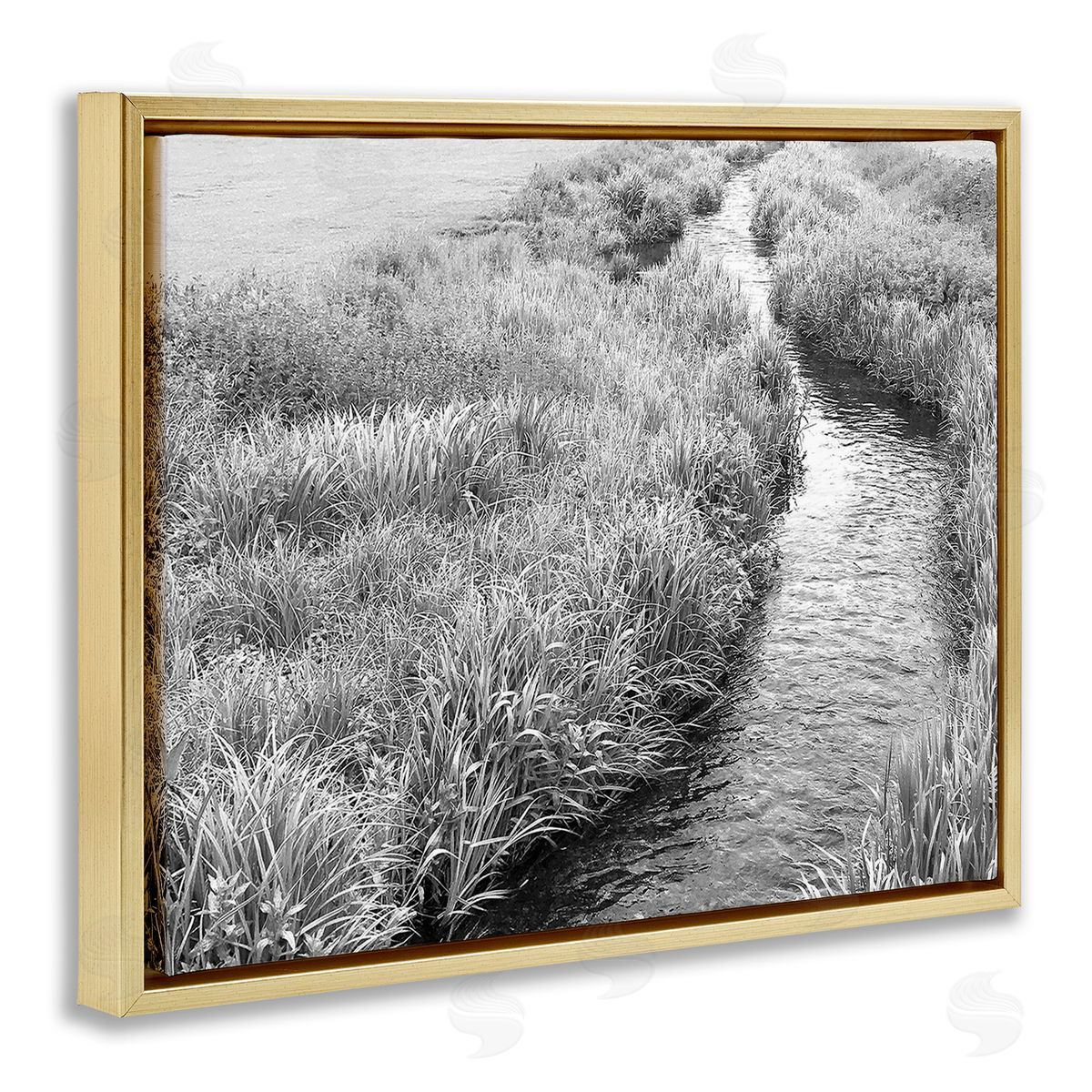Sarah Jane Flowing Beach Canal