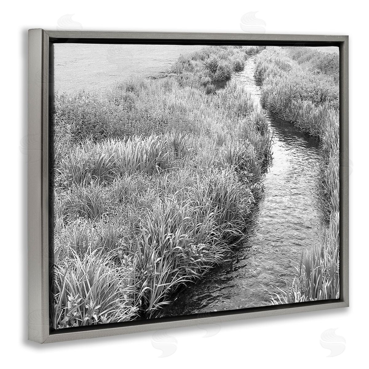 Sarah Jane Flowing Beach Canal
