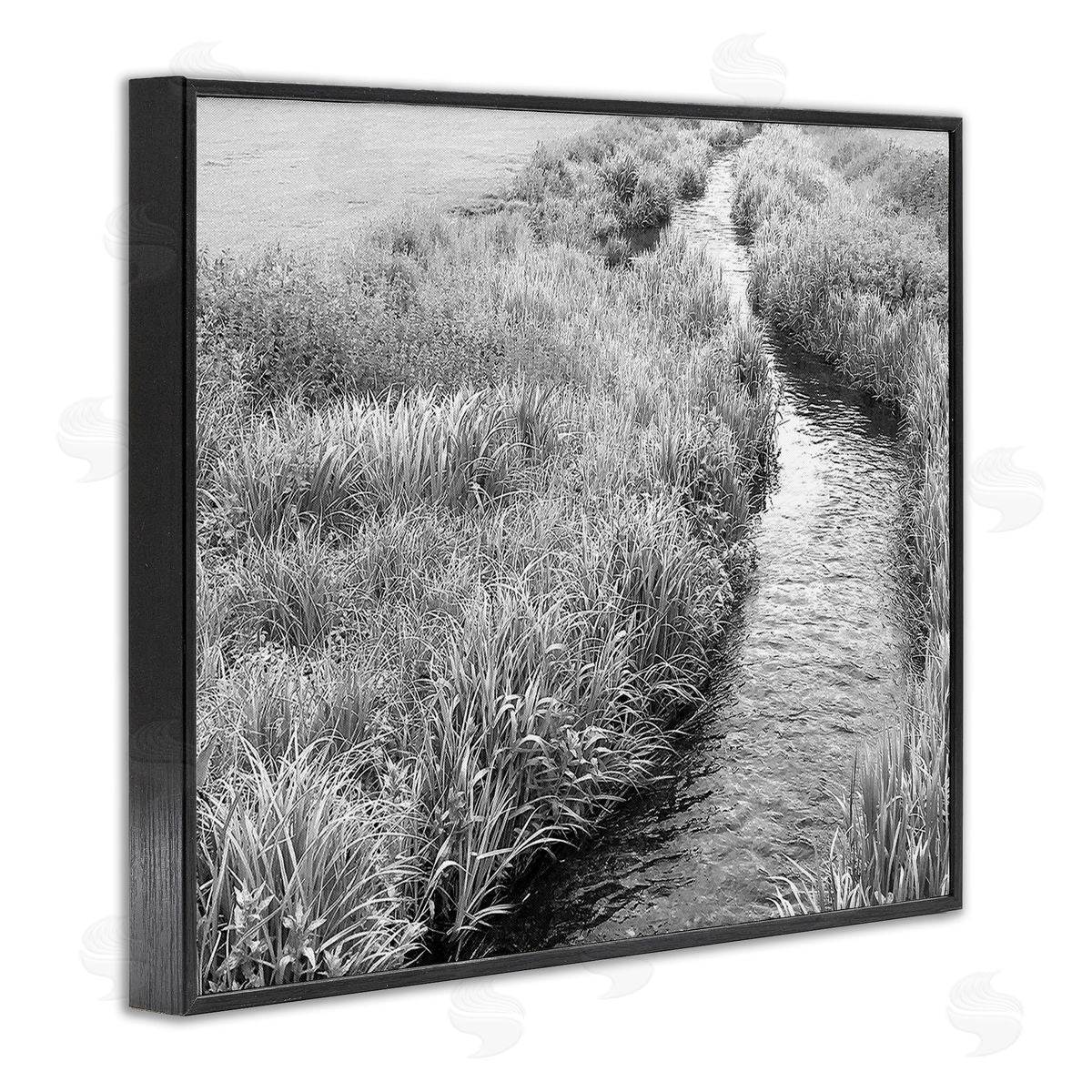 Sarah Jane Flowing Beach Canal