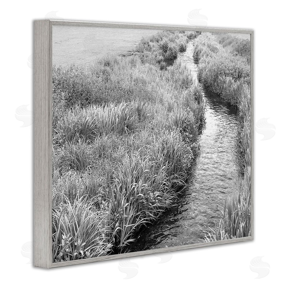 Sarah Jane Flowing Beach Canal