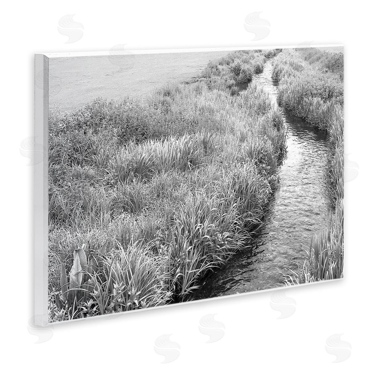 Sarah Jane Flowing Beach Canal