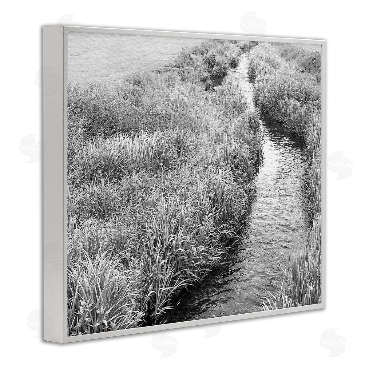 Sarah Jane Flowing Beach Canal