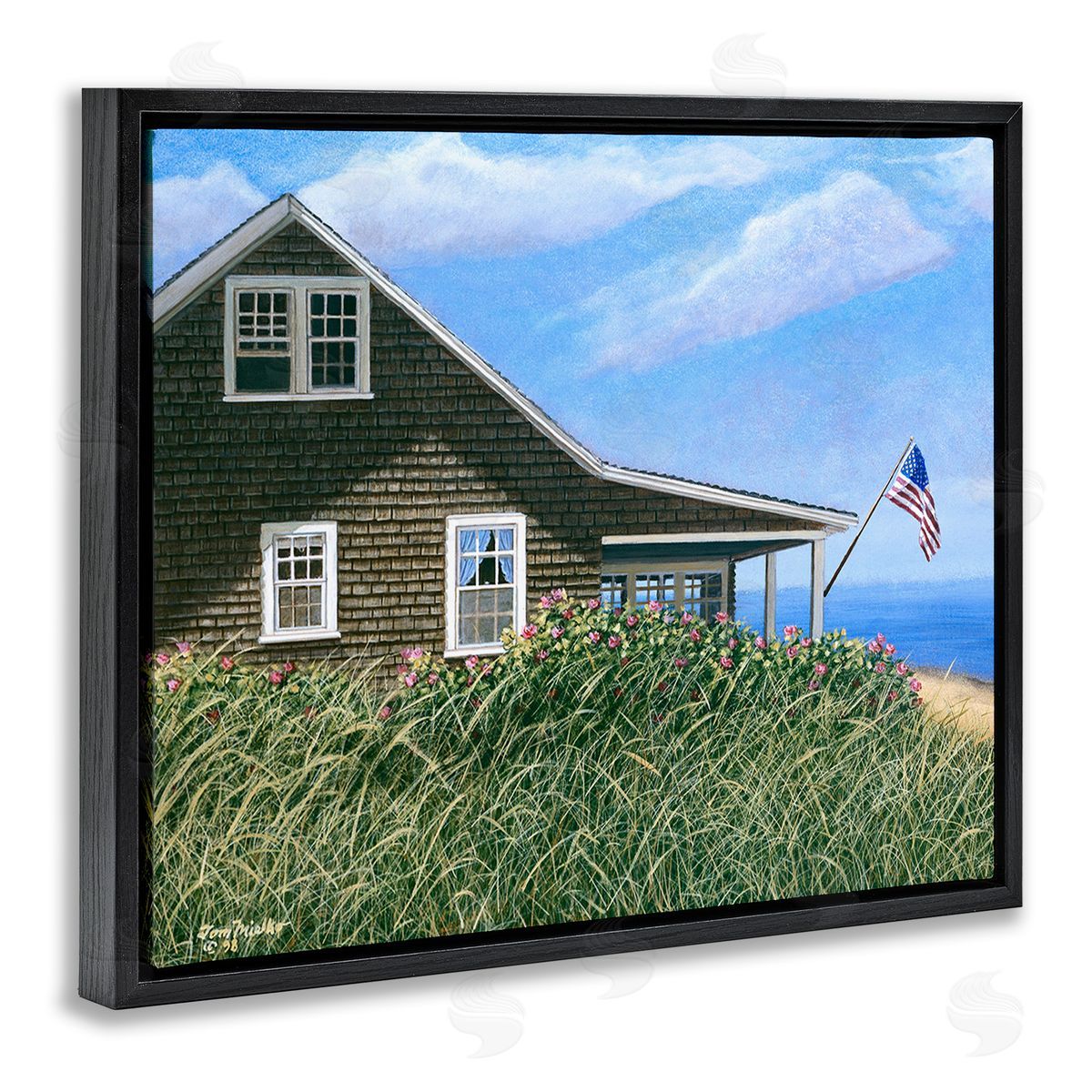 Tom Mielko Cape House with Flag