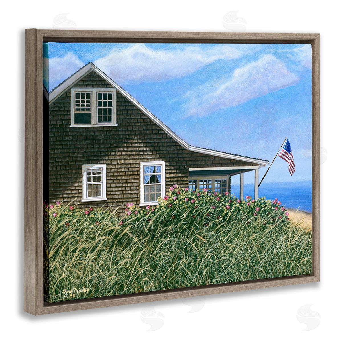 Tom Mielko Cape House with Flag