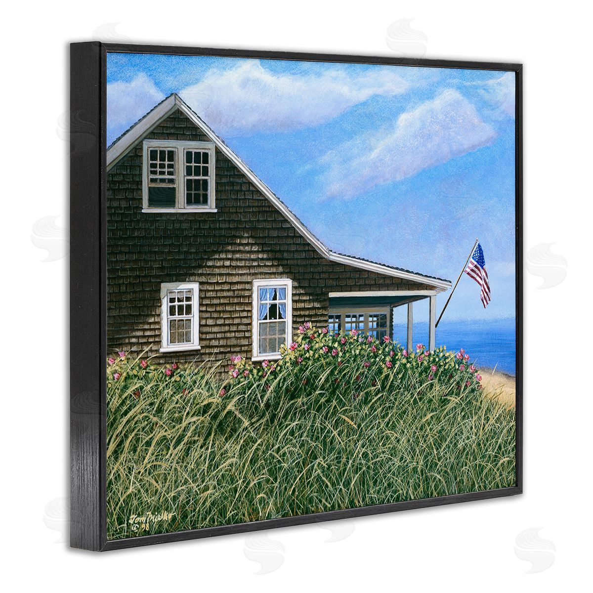 Tom Mielko Cape House with Flag