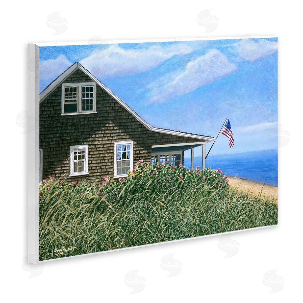 Tom Mielko Cape House with Flag
